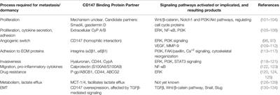 Mini-Review: Can the Metastatic Cascade Be Inhibited by Targeting CD147/EMMPRIN to Prevent Tumor Recurrence?